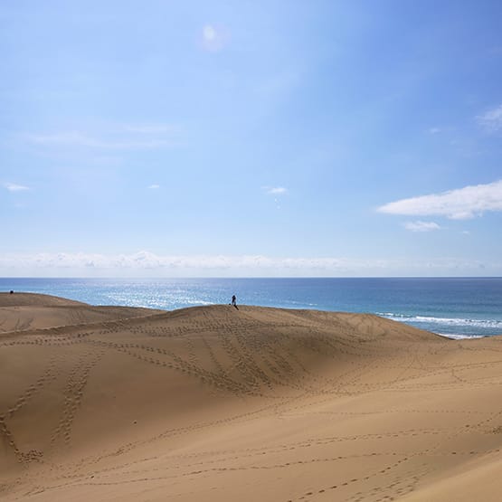 Gran Canaria transfer