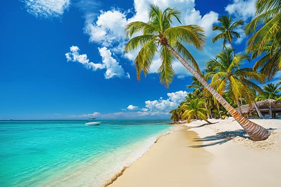 Punta Cana Transfer - a simple alternative