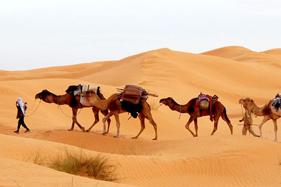 And if you want: a return transfer too