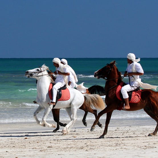 transfer airport djerba zarzis