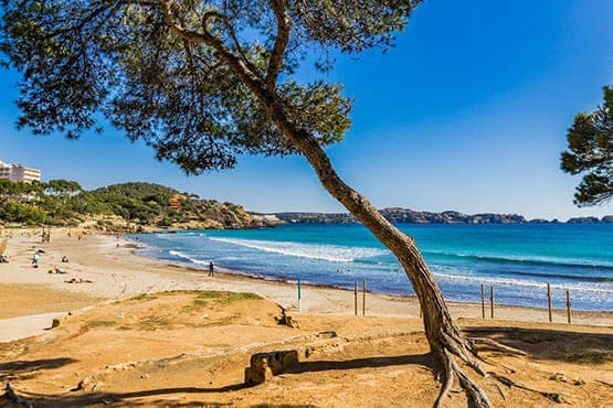 From Majorca airport or cruise port to your resort...
