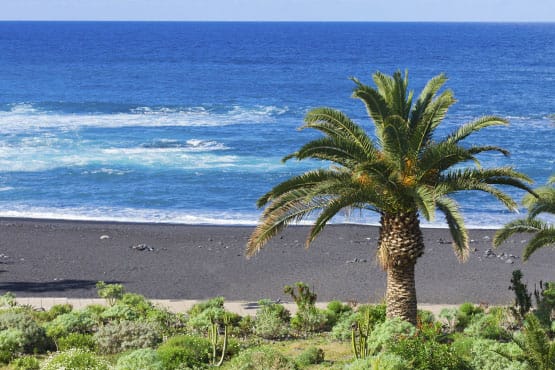 Which is the best transfer for you?